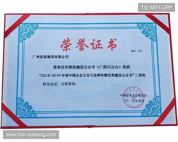 凯时集团的企业文化与核心价值观解析