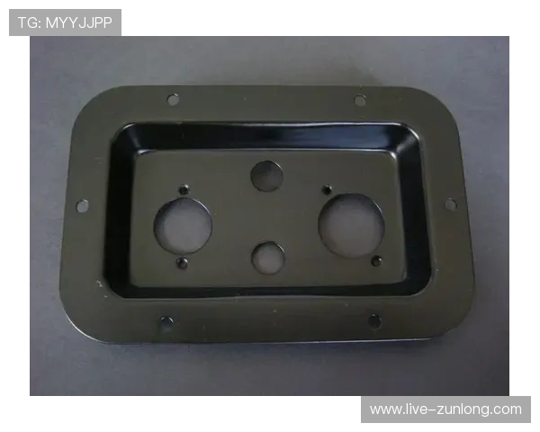 尊龙登录入口首页：详细操作流程帮助用户快速登录体验